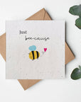 Seeded Greeting Cards