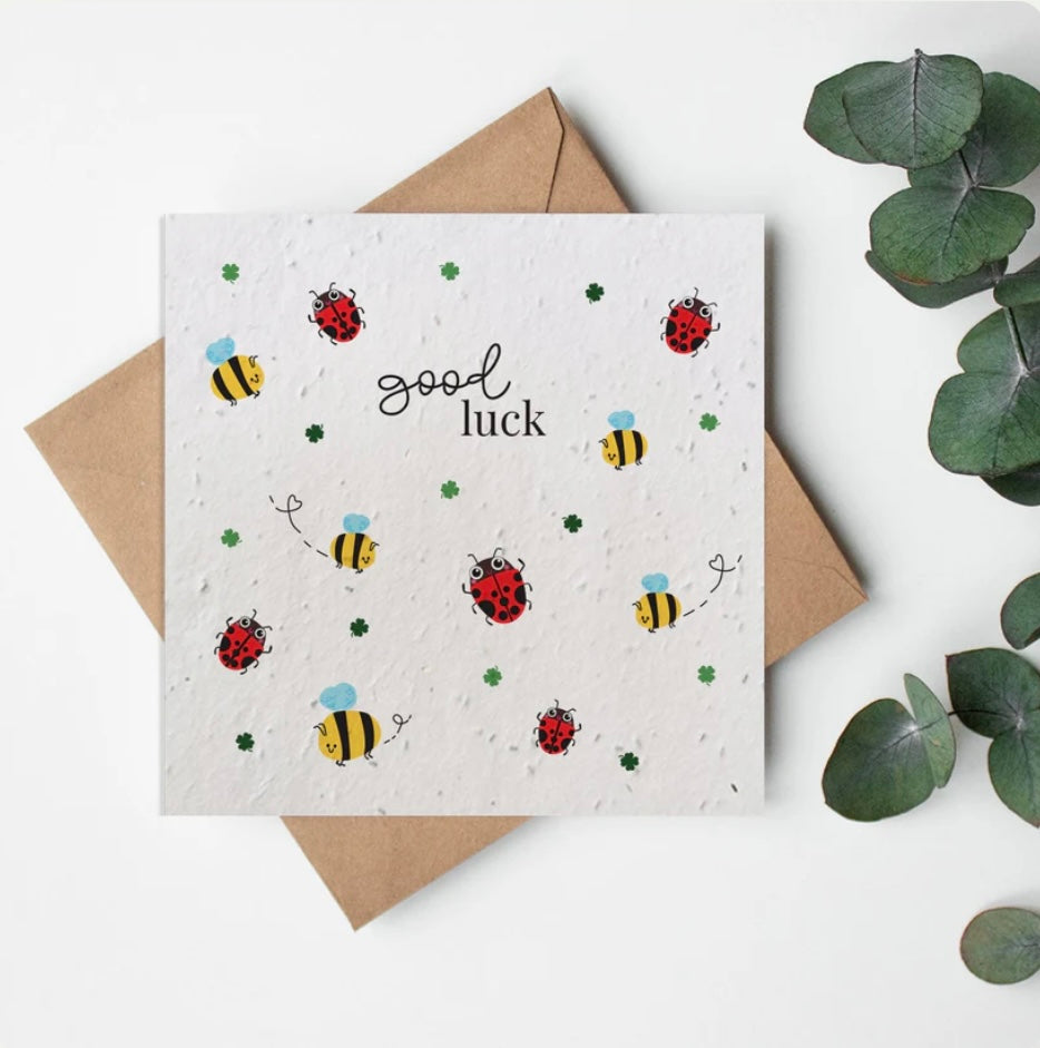 Seeded Greeting Cards